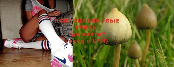 прущая мука Строитель