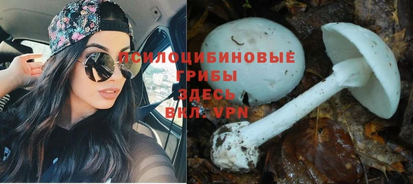 дистиллят марихуана Богданович